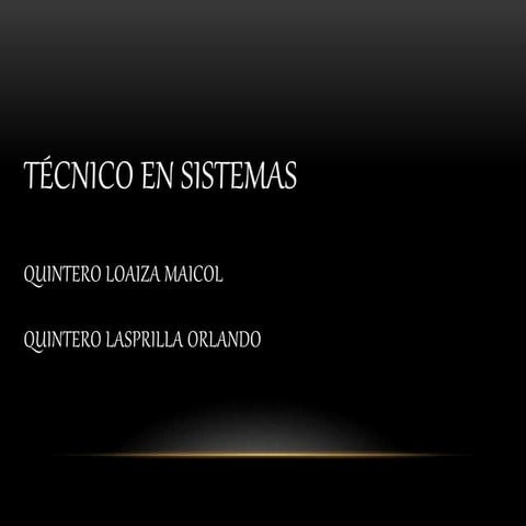 Técnico en sistemas