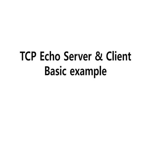 TCP echo 서버 및 클라이언트 예제 스터디 | PPTX