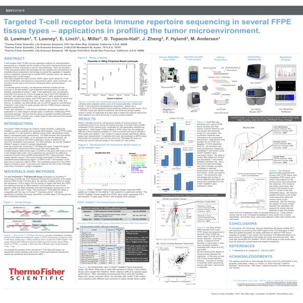 Targeted T-cell receptor beta immune repertoire sequencing in several FFPE ti...