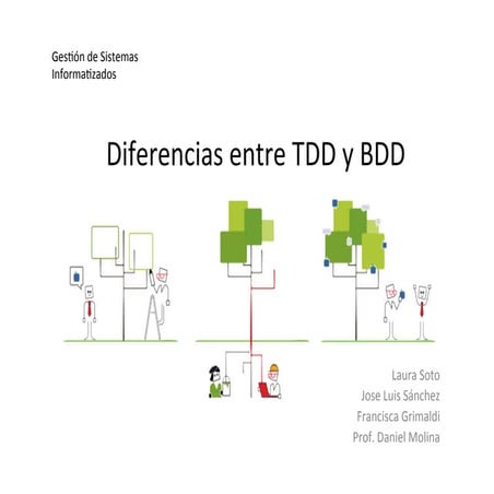 Td dvs bdd