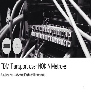 TDM Transport over mpls v 1.1