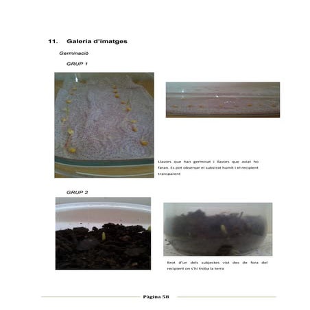 Tdr-Galeria d'imatges