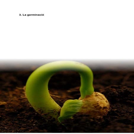 Tdr-La germinació