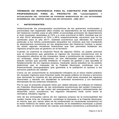 Tdr  tecnico actualización del catastro de patente municipal