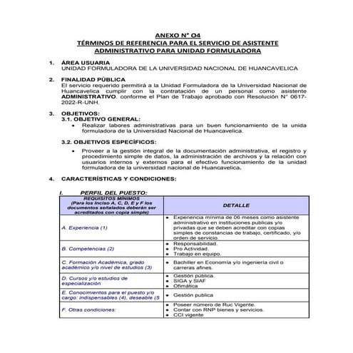 TDR FORMULADOR 1.docx