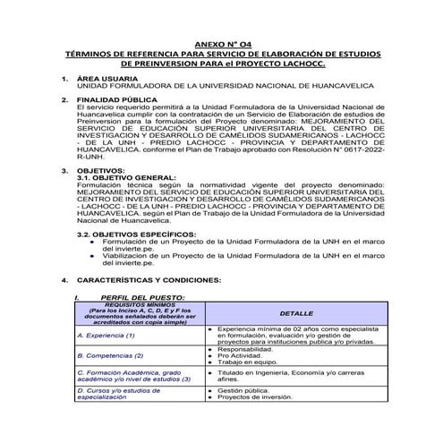 TDR FORMULADOR 3.docx