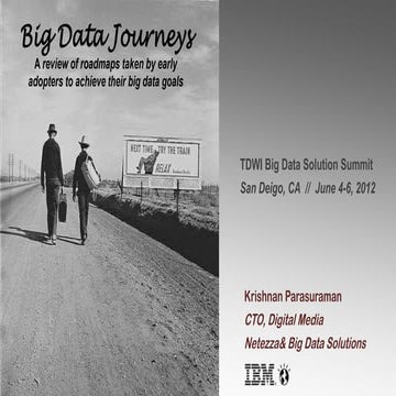Big Data Journeys: Review of roadmaps taken by early adopters to achieve thei...