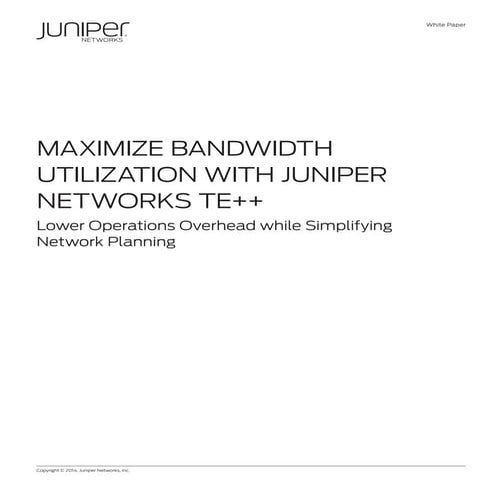 Advanced Traffic Engineering (TE++)