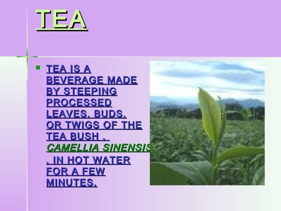 Process flow chart tea processing | PPTX | Home Appliances | Home & Garden