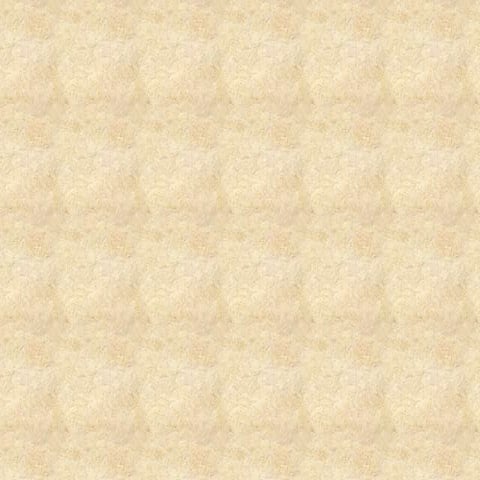 Teacher presentation