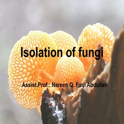 All possible techniques for isolation of bacteria and fungi... | PPTX