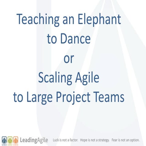 Teaching an Elephant to Dance or Scaling Agile to Large Project Teams