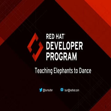 Teaching Elephants to Dance, Burr Sutter