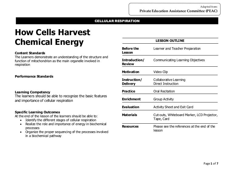 Teaching guide on Cellular respiration