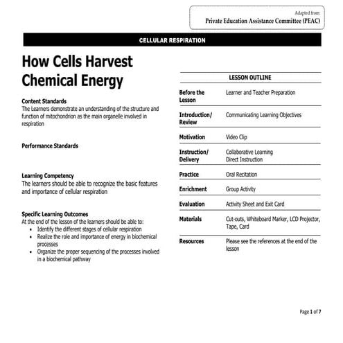Teaching guide on Cellular respiration