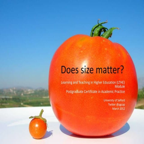 Size matter? LTHE week 6 about teaching