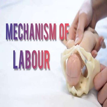 mechanism of labor