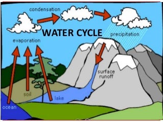 Worksheets Water Cycle Diagram For 5th Grade water cycle linkedin teach