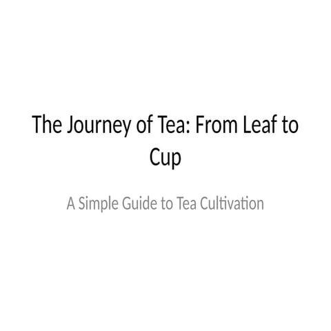 Tea Cultivation A Simple Report For Educational Purpose Pptx