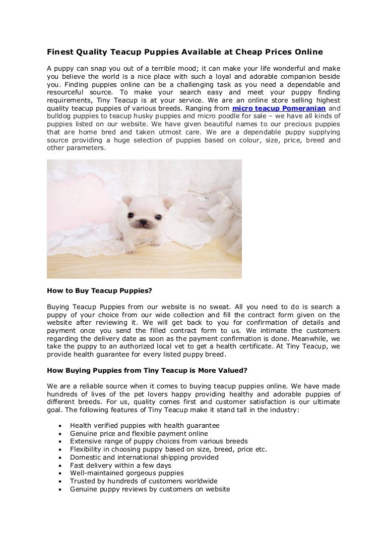 teacup puppies online