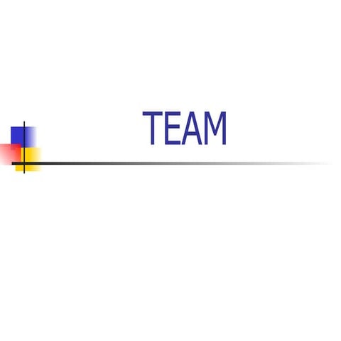 Team