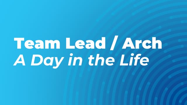 Lead Developer: A Day in the Life