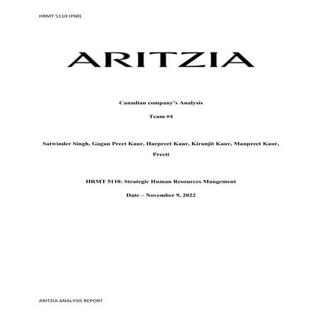 Team_3_Aritzia Anlysis report.docx