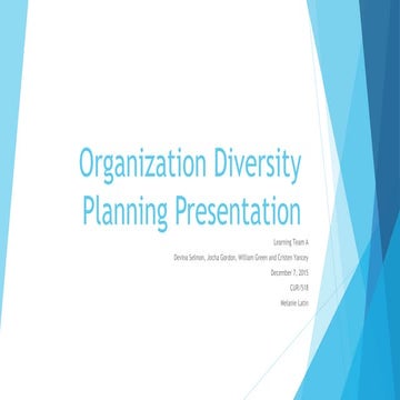 Organization Diversity Planning Presentation