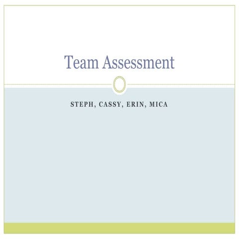 Team assessment erinmicastephcassy