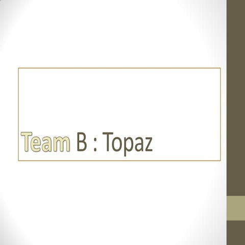 Topaz Financial Sector Reform