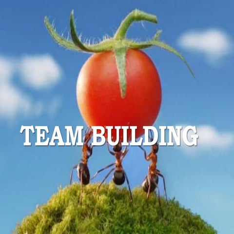 Team Building
