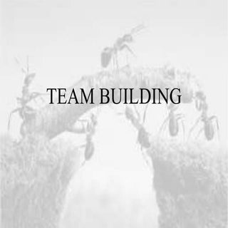 Team building