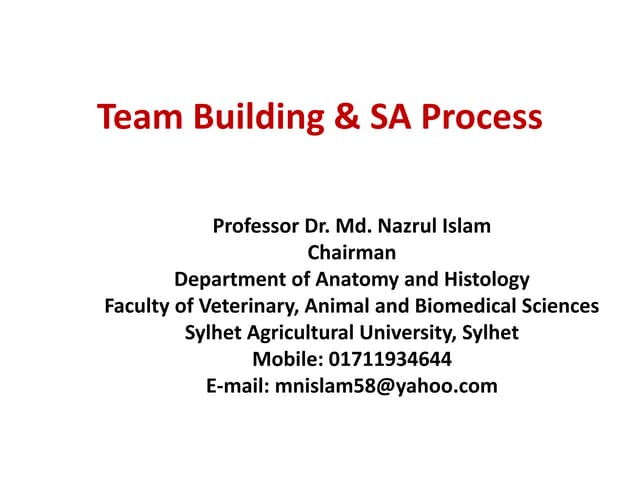 Team Building & SA Process