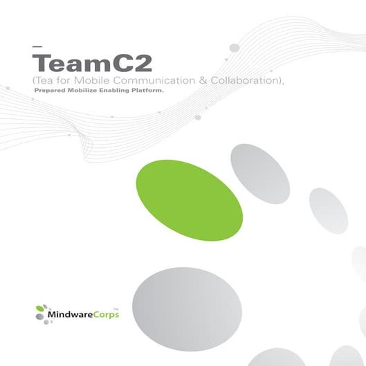 Team C2 Brochure Eng V1025