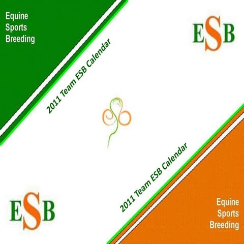 Team ESB calendar 2011