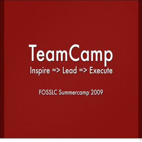 TeamCamp Summercamp 2009