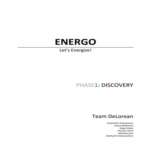 Team De Lorean Phase 1 Energo