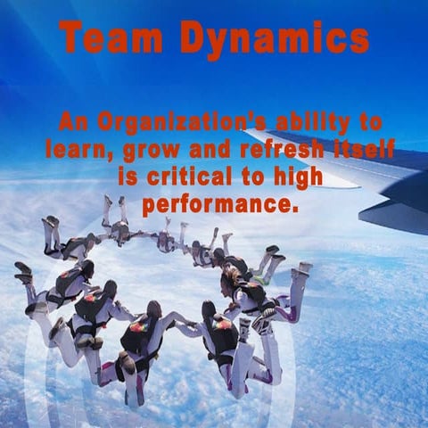 Team Dynamics