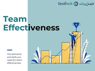 Programme on Team Effectiveness-Main Presentation