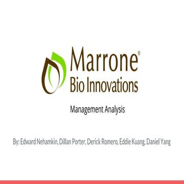 Team E_mgt150_ final pp document