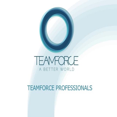 Teamforce professionals