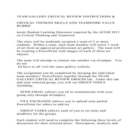 TEAM GALLERY CRITICAL REVIEW INSTRUCTIONS &CRITICAL THINKNG SKIL.docx