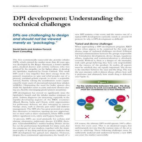 DPI development: Understanding the technical challenges | PDF