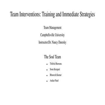Comprehensive Analysis of Team Interventions in Organizational Settings