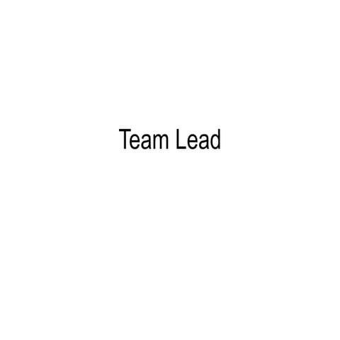 Team lead