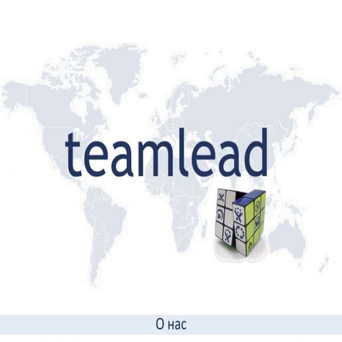 Teamlead - О нас