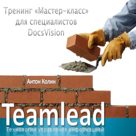 Teamlead dug 1 2009