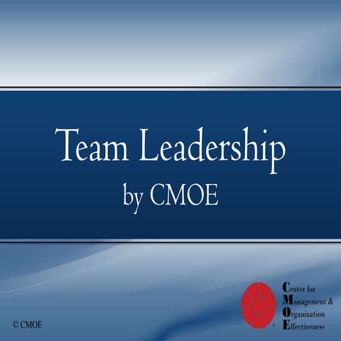 Team Leadership