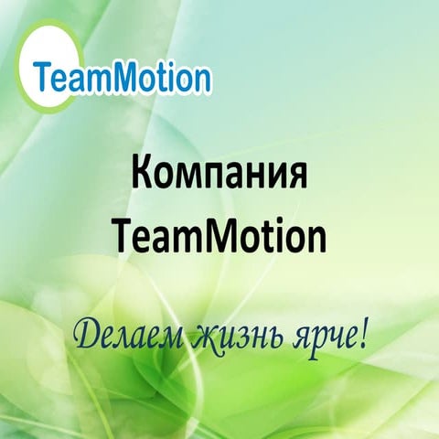 компания TeamMotion