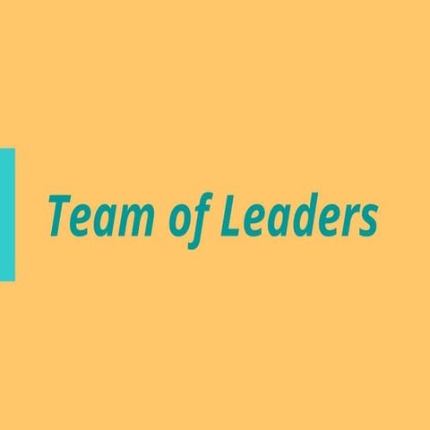 Team of leaders